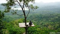 (Shinta/detikTravel)