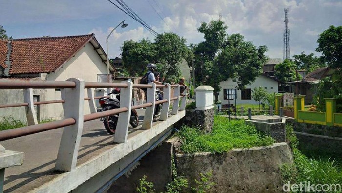 Warga Resah 3 Ekor Ular Piton Muncul di Jembatan di Semarang
