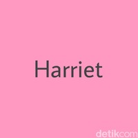 Harriet terdengar seperti nama yang indah dan tidak pasaran. Namun di Islandia, nama tersebut dilarang. Harriet ternyata berarti penguasa rumah di sana sehingga tidak diizinkan diberikan pada anak. Foto: Dok. Arina Yulistara/Wolipop