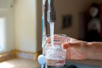 Selain Air Putih, Gel Water Efektif Menghidrasi Tubuh