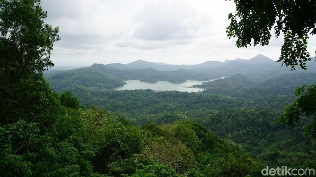 Salah satu spot foto Kalibiru (Shinta/detikTravel) 