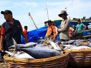Angin Kencang dan Gelombang Tinggi, Nelayan Aceh Diimbau Tak Melaut