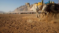 Festival ini merupakan yang ke sepuluh kalinya, dan diadakan di Wadi Rum, Yordania. (Muhammad Hamed/REUTERS)