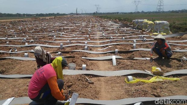 Penyelesaiam proyek jalan tol di pekalongan