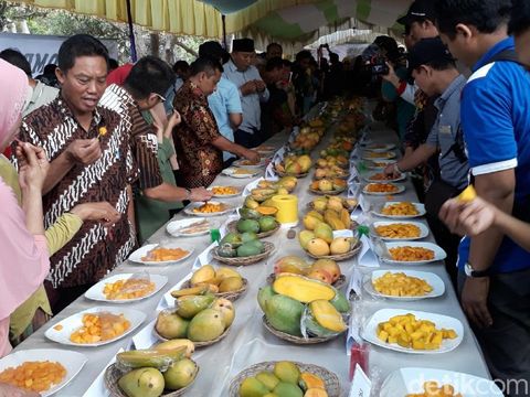 Varietas baru mangga pisang di Pasuruan/