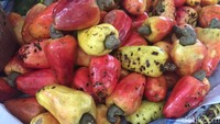 Sudah jadi ikon kota Solo, Pasar Gede menawarkan aneka buah, sayur dan bahan makanan berkualitas. Salah satunya jambu monyet. Foto: Odilia Winneke