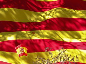 Mulai Evakuasi, Spanyol Siap Sambut 2.000 Pengungsi Afghanistan