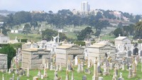  Diketahui ada sekitar 17 pemakaman di Colma yang jumlah nisannya melebihi jumlah orang hidup. Menurut sensus tahun 2010, Colma dihuni oleh sekitar 1.792 penduduk. Sedangkan jumlah nisan yang ada, diestimasi sekitar 1,5 juta (@esco3185/Instagram)