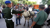 Simulasi kirab pernikahan menggunakan 4 andong.