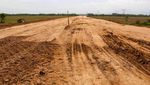 Penampakan Tol Pemalang-Batang yang Dikebut Jokowi