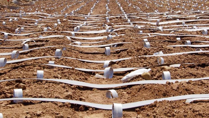 Pembebasan Lahan Tol Trans Jawa dan Sumatera Ditarget Rampung Bulan Ini