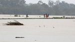 Foto: Begini Dahsyatnya Topan Damrey yang Terjang Vietnam