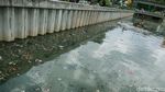 Begini Perjuangan Pasukan Oranye Bersihkan Sungai di Jakarta