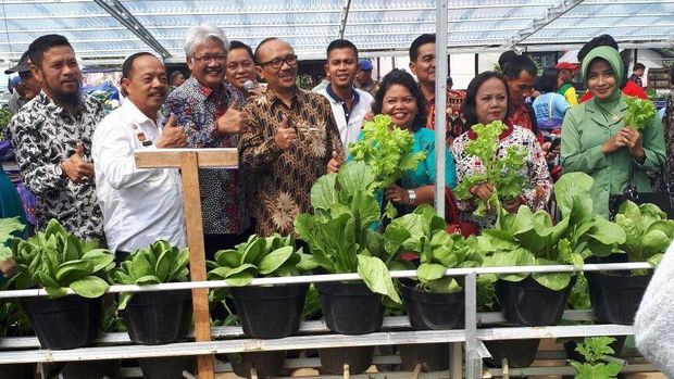 Giliran Wilayah Perbatasan Panen Budidaya Lele Ala Susi
