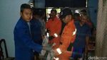 Kemunculan Ular di DKI yang Bikin Kaget: Kemang hingga Pesanggrahan