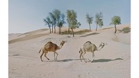 Hasil Karyanya ini bahkan diikutsertakan dalam pameran seni di New York. Harga satu karyanya 25 Poundtsterling atau Rp 445.000 (streetview.portraits/Instagram)