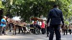 Jokowi dan Gibran Pantau Simulasi Kirab Pernikahan Kahiyang-Bobby