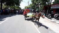 Warna kuda yang menarik andong untuk kirab berwarna putih dan cokelat tua.