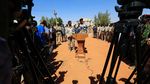 Foto 19 Ton Lintingan Ganja yang Diungkap Saat Penyergapan di Darfur