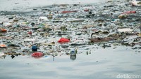 Kumpulan sampah yang mengambang di Kali Sunter.