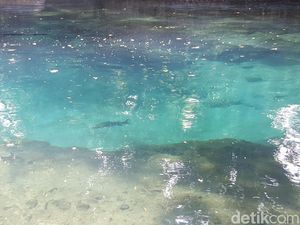 Ini Beragam Kisah Gaib di Sumber Mata Air Jenon Malang
