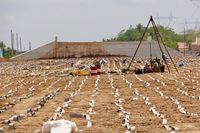 Cara Pemerintah Jokowi Kebut Tol Pemalang-Batang