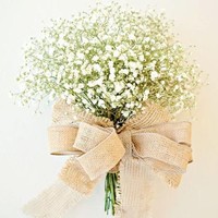 Babybreath, bunga putih kecil yang biasa menjadi pendamping atau pengisi rangkaian bunga ini juga akan memperindah pernikahan Kahiyang Ayu dan Bobby. Foto: Dok. Pinterest