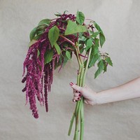 Tanaman Amaranthus menjadi salah satu pelengkap dekorasi bunga resepsi pernikahan Kahiyang Ayu dan Bobby. Tanaman ini memiliki karakater jatuh menjuntai yang biasanya datang dalam warna hijau atau merah. Foto: Dok. Pinterest