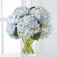 Bunga selanjutnya yang akan mengisi dekorasi pernikahan Kahiyang Ayu dan Bobby adalah Hortensia atau biasa dikenal dengan istilah hydrangea memiliki kepala bunga yang besar. Hortensia termasuk bunga yang paling banyak jenis dan warnanya. Foto: Dok. Pinterest