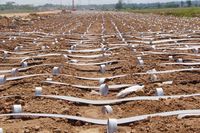 Cara Pemerintah Jokowi Kebut Tol Pemalang-Batang