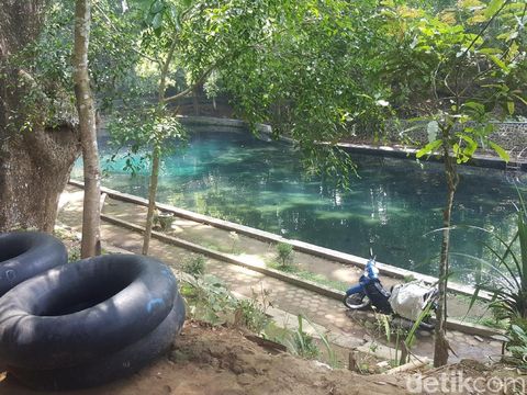 Ikan Dewa di Sumber Jenon/