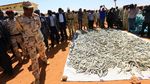 Foto 19 Ton Lintingan Ganja yang Diungkap Saat Penyergapan di Darfur