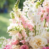 Snapdragon menjadi bunga selanjutnya yang akan mengisi dekorasi pernikahan Kahiyang Ayu dan Bobby. Ini adalah bunga dengan batang tinggi yang tumbuh mengumpul di pangkal batang sehingga menyerupai kulit naga. Bunga jenis ini memiliki berbagai macam warna-warna cantik. Foto: Dok. Pinterest