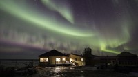 Untuk dapat merasakan pengalaman yang luar biasa, traveler dianjurkan mengunjungi Seal River Heritage Lodge, Churchill, Kanada pada bulan Oktober atau November (CNN Travel)