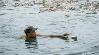 Petugas berenang untuk memungut sampah di Kali Sunter, Jakarta Utara, Senin (6/11/2017).