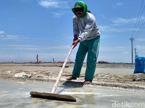 Izin Impor Garam Industri Belum Keluar, Ini Kata Mendag
