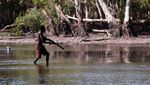 Foto: Beginilah Suku Aborigin Berburu Buaya