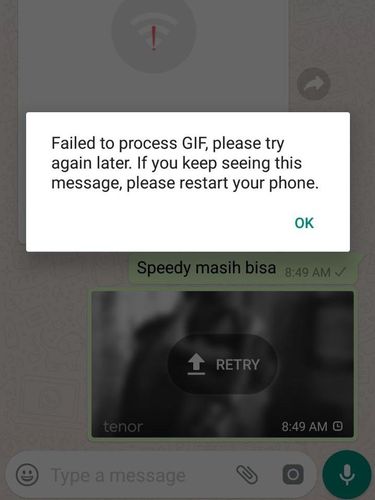 Gambar Gif di WhatsApp Tiba-tiba Tidak Bisa Diakses
