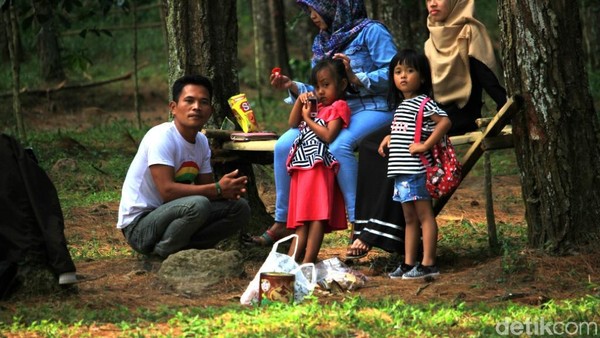 Hutan Pinus Cijapati memang menjadi wisata alternatif bagi keluarga. Suasana adem dan udara segar memang menentramkan hati (Wisma Putra/detikTravel) Hutan Pinus Cijapati memang menjadi wisata alternatif bagi keluarga. Suasana adem dan udara segar memang menentramkan hati (Wisma Putra/detikTravel)