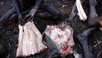 Foto: Beginilah Suku Aborigin Berburu Buaya
