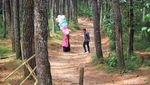 Foto: Bandung Punya Hutan yang Romantis