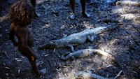 Daratan ini berupa padang gurun yang dipisahkan oleh tebing yang curam, ngarai, sungai dan air terjun. Daratan ini rumah bagi orangm-orang Yolngu, dan perlu izin bila ke daerah ini. (David Gray/Reuters)