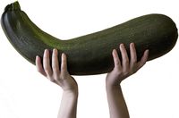 Zucchini berukuran jumbo.