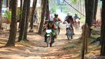 Foto: Bandung Punya Hutan yang Romantis