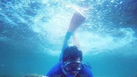 Meski tidak terlalu dalam, pemilik akun @haydarpratama ini juga gemar free diving terlihat di postingan Instagramnya. (Instagram: @haydarpratama)