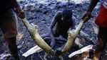 Foto: Beginilah Suku Aborigin Berburu Buaya