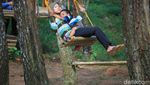 Foto: Bandung Punya Hutan yang Romantis