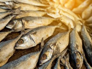 5 Tanda-tanda Kanker Nasofaring, Penggemar Ikan Asin Perlu Waspada