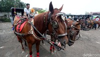 Saat acara pernikahan kereta kencana disiapkan untuk mengantar Kahiyang dan Bobby.