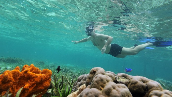 RI Destinasi Selam Terbaik Dunia, Tapi Pendapatan Kalah dari Malaysia